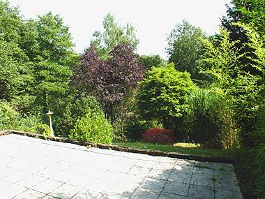 Blick in den Garten