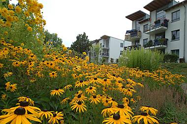 Gebäudeansichten des Haus Berge